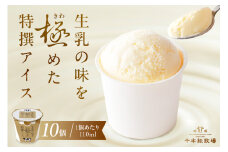 生乳の味を極めた特撰アイス10個セット 【千本松牧場】 ns025-011-10 【お菓子 スイーツ 詰め合わせ アイスクリーム 牛乳 ギフト】