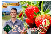 菊池いちご園　とちあいか　那須塩原市産　4パック入り ns024-001 【いちご 果物 フルーツ とちあいか デザート 甘い 国産】