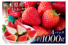栃木県産　とちあいか4パック ns110-001-4 【いちご 苺 果物 フルーツ とちあいか オリジナル 品種 甘い 酸味が少ない デザート ジューシー みずみずしい 】