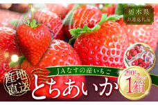 【栃木県共通返礼品】JAなすの産いちご 産地直送 とちあいか 1箱（290g×2パック）【数量限定】ns084-002 【いちご フルーツ 果物 品種 オリジナル 甘さ デザート ビタミンC 葉酸 ハート形】