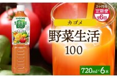 【定期便】2ヵ月毎全6回野菜生活100 オリジナル 720mlPET ns038-064 【ペットボトル 野菜 果実 オリジナル ミックスジュース β-カロテン フルーティー KAGOME】