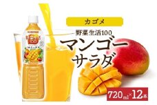 野菜生活100 マンゴーサラダ 720mlPET×12 ns038-059-12【ペットボトル 野菜ジュース 野菜生活 飲料 ドリンク 健康 野菜 果実 ミックスジュース マルチビタミン KAGOME カゴメ】