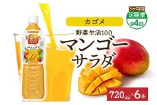 【定期便】3ヵ月毎全4回野菜生活100 マンゴーサラダ 720mlPET ns038-067 【ペットボトル 野菜 果実 マンゴー ミックスジュース β-カロテン 黄色野菜 マルチビタミン KAGOME】