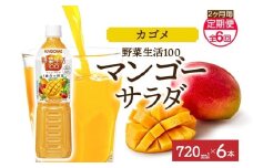 【定期便】2ヵ月毎全6回野菜生活100 マンゴーサラダ 720mlPET ns038-068 【ペットボトル 野菜 果実 マンゴー ミックスジュース β-カロテン 黄色野菜 マルチビタミン KAGOME】