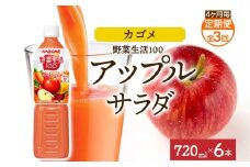 【定期便】4ヵ月毎全3回野菜生活100 アップルサラダ 720mlPET ns038-070 【ペットボトル 野菜 果実 りんご ミックスジュース β-カロテン フルーティー 赤野菜 KAGOME】