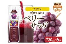 【定期便】4ヵ月毎全3回野菜生活100 ベリーサラダ 720mlPET ns038-074 【ペットボトル 野菜 果実 ベリー ミックスジュース β-カロテン フルーティー 紫野菜 KAGOME】