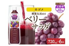 【定期便】12ヵ月連続野菜生活100 ベリーサラダ 720mlPET ns038-077 【ペットボトル 野菜 果実 ベリー ミックスジュース β-カロテン フルーティー 紫野菜 KAGOME】