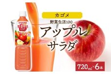 野菜生活100 アップルサラダ 720mlPET×6 ns038-060-6【ペットボトル 野菜ジュース 野菜生活 飲料 ドリンク 健康 野菜 果実 ミックスジュース ビタミン カルシウム KAGOME カゴメ】