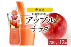 野菜生活100 アップルサラダ 720mlPET×12 ns038-060-12【ペットボトル 野菜ジュース 野菜生活 飲料 ドリンク 健康 野菜 果実 ミックスジュース ビタミン カルシウム KAGOME カゴメ】