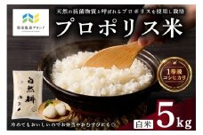 【那須塩原ブランド認定品】プロポリス米（1等級コシヒカリ 白米5kg)【令和7年度産米】 ns063-002 【お米 プロポリス 米 食品 真空パック 国産 コシヒカリ】 