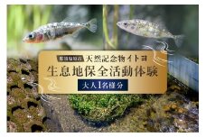 那須塩原市天然記念物イトヨ 採捕・生息地保全活動体験【大人1名様分】 ns056-003 【イトヨ 体験 川 環境保全 ガイド 自然 魚 絶滅危惧種 天然記念物 ネイチャーポジティブ】 