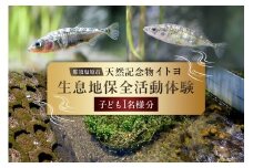 那須塩原市天然記念物イトヨ採捕・生息地保全活動体験【子ども1名様分】 ns056-004 【イトヨ 体験 川 環境保全 ガイド 自然 魚 絶滅危惧種 天然記念物 ネイチャーポジティブ】
