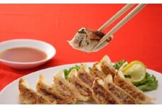 １０－１６　玉ちゃん餃子３種詰め合わせ