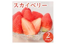 8-1【期間限定】スカイベリー（2パック）【オンライン決済限定】
※着日指定不可
※2023年1月中旬頃より順次発送予定