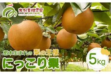 14-3 栃木県那須烏山市産大野果樹農園のにっこり梨 ｜ 先行予約 なし 梨 にっこり 果物 くだもの フルーツ ナシ 栃木県 ※2025年10月上旬～10月下旬頃に順次発送予定 ※北海道・沖縄・離島への配送不可