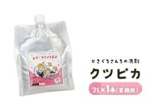 21-1 ＼上履き洗いをカンタン・時短／プロ絶賛の上履き用洗剤 クツピカ （せきぐちさんちの洗剤）2L×1本