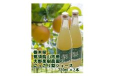 8-7 栃木県那須烏山産にっこり梨100％ジュース2本セット