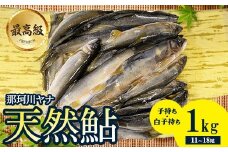 28-1 最高級 那珂川の天然あゆ1kg（子持ち・白子持ち）