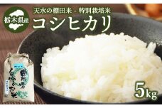 13-4【先行予約】天水の棚田米 特別栽培米 コシヒカリ 5kg 栃木県