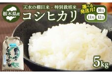 【10月下旬発送】14-5 天水の棚田米 特別栽培米 コシヒカリ 5kg 栃木県