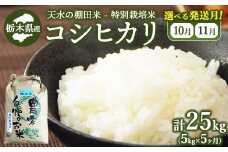 【10月下旬発送】【5か月定期便】64-1 天水の棚田米 特別栽培米 コシヒカリ 5kg 栃木県