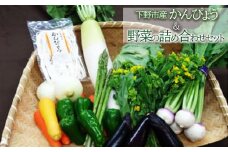 下野市産 かんぴょう＆野菜の詰め合わせセット  | 野菜 やさい 詰め合わせ かんぴょう セット 栃木県 特産品 下野市 しもつけ市