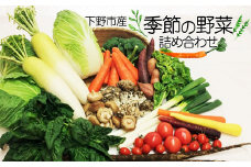 下野市産 季節の 野菜 詰め合わせ  | 野菜 詰め合わせ セット 新鮮 栃木県 特産品 下野市 しもつけ市