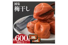 【 栃木県産 】梅干し 約300g×2 | 梅 梅干し 減塩 手摘み 天然 天日干し 手作り 塩漬け  栃木県 しもつけ市 下野市