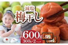 【 栃木県産 】梅干し 約300g×2 | 梅 梅干し 減塩 手摘み 天然 天日干し 手作り 塩漬け  栃木県 しもつけ市 下野市