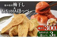 【栃木県産】梅干し、揚げせんべいセット 梅干し 約300g 揚げせんべい 110ｇ×3袋 | 梅 梅干し 減塩 手摘み お菓子 和菓子 煎餅 せいべい 揚げせんべい 揚げ煎餅 天然 天日干し 手作り 塩漬け 栃木県 しもつけ市 下野市