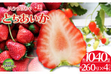 【1月発送】  JAうつのみや直送！ とちあいか 260g×4パック  | いちご 甘い 果物 フルーツ デザート 共通返礼品 栃木県 下野市 送料無料 
