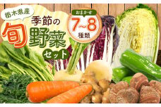 季節の旬野菜おまかせセット 7～8品目 | 野菜 お野菜 葉物野菜 根菜 農薬不使用 化学肥料不使用 珍しい 栃木県 下野市
