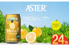 アスター愛南ゴールドのチューハイ 350mL×24本×1ケース | 柑橘 お酒 果汁 酎ハイ チューハイ ジューシー 栃木県 下野市 送料無料