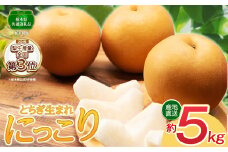 【先行予約】にっこり 5kg | 【栃木県共通返礼品】 大 人気  レビュー リピート 梨 にっこり 果物 フルーツ デザート スイーツ たっぷり 果汁 果肉 ジューシー 甘い 高糖度 柔らかな シャキシャキ 果肉 旬 品種 果物 くだもの   送料無料 栃木県 下野市