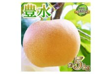 【栃木県共通返礼品】【先行予約】豊水 5kg | 送料無料 栃木県 下野市 共通返礼品 梨 豊水 果物 フルーツ デザート