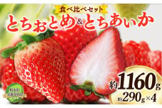 日本一のいちご生産量を誇るJAはが野が厳選 とちおとめ、とちあいか食べ比べ平パック4P | 送料無料 栃木県 下野市 いちご フルーツ 甘い ジューシー かき氷