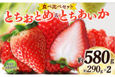 日本一のいちご生産量を誇るJAはが野が厳選 とちおとめ、とちあいか食べ比べ平パック2P | 送料無料 栃木県 下野市  いちご フルーツ 甘い ジューシー かき氷
