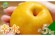【先行予約】【栃木県共通返礼品】幸水 5kg | 送料無料 栃木県 下野市 共通返礼品 梨 幸水 果物 フルーツ デザート