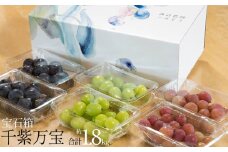 【2025年先行予約】ぶどう特選切出し粒「宝石箱・千紫万宝」 | 送料無料 栃木県 下野市 ぶどう 葡萄 白ぶどう 赤ぶどう 黒ぶどう ブラックビート クイーンニーナ シャインマスカット 果物 フルーツ デザート
