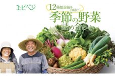 下野市産 エビベジ季節の野菜詰め合わせ（大）  | 野菜 詰め合わせ セット 新鮮 エビベジ 栃木県 特産品 下野市 しもつけ市