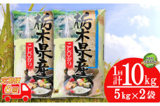【栃木県共通返礼品・栃木県産】【定期便6回】食味ランキング「特A」 こしひかり 10kg | 白米 精米 お米 ブランド米  栃木県 特産品 下野市 送料無料