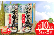 【栃木県共通返礼品・栃木県産】【定期便3回】食味ランキング「特A」 こしひかり 10kg | 白米 精米 お米 ブランド米 栃木県 特産品 下野市 送料無料