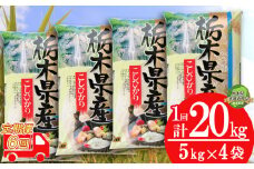 【栃木県共通返礼品・栃木県産】【定期便6回】食味ランキング「特A」 こしひかり 20kg | 白米 精米 お米 ブランド米  栃木県 特産品 送料無料 下野市