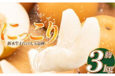 【2025年秋先行予約】 にっこり 3kg | 送料無料 栃木県 下野市 梨 幸水 果物 フルーツ デザート