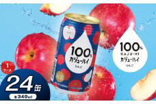 100％カジューハイりんご 340ml × 24本 | ふるさと納税 缶チューハイ 缶酎ハイ りんご アルコール 3％ カロリー低い 喉越し 爽快 爽やか 洋酒 人気 酎ハイ サワー パーティー 送料無料 下野 栃木