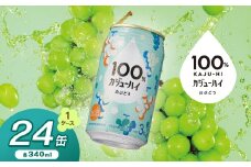 100％カジューハイ白ブドウ 340ml × 24本 | ふるさと納税 缶チューハイ 缶酎ハイ 白ブドウ アルコール 3％ カロリー低い 喉越し 爽快 爽やか 洋酒 人気 酎ハイ サワー パーティー 送料無料 下野 栃木