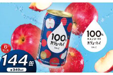 【定期便6回】100％カジューハイりんご 340ml × 144本 | ふるさと納税 缶チューハイ 缶酎ハイ りんご アルコール 3％ カロリー低い 喉越し 爽快 爽やか 洋酒 人気 酎ハイ サワー パーティー 送料無料 下野 栃木