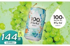【定期便6回】100％カジューハイ白ブドウ 340ml × 144本 | ふるさと納税 缶チューハイ 缶酎ハイ 白ブドウ アルコール 3％ カロリー低い 喉越し 爽快 爽やか 洋酒 人気 酎ハイ サワー パーティー 送料無料 下野 栃木