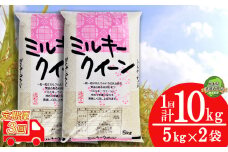 【栃木県共通返礼品・栃木県産】【定期便3回】令和6年度 ミルキークイーン10kg（5kg×2袋） | 白米 精米 お米 ブランド米 栃木県  特産品 下野市 送料無料