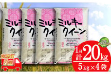 【栃木県共通返礼品・栃木県産】【定期便3回】令和6年度 ミルキークイーン20kg（5kg×4袋） | 白米 精米 お米 ブランド米 栃木県 特産品 下野市 送料無料
